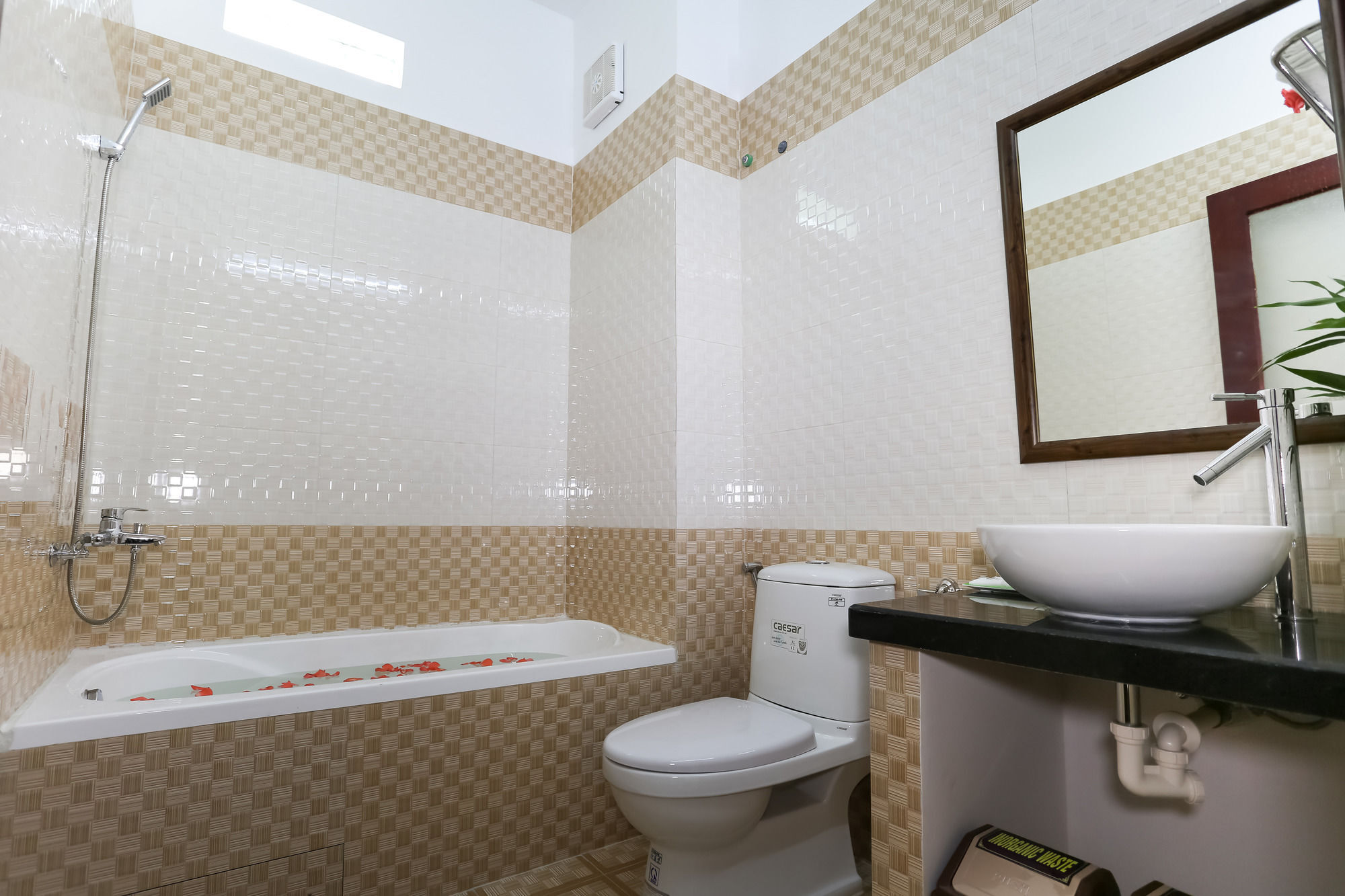 Phoenix Homestay Hoi An Eksteriør billede