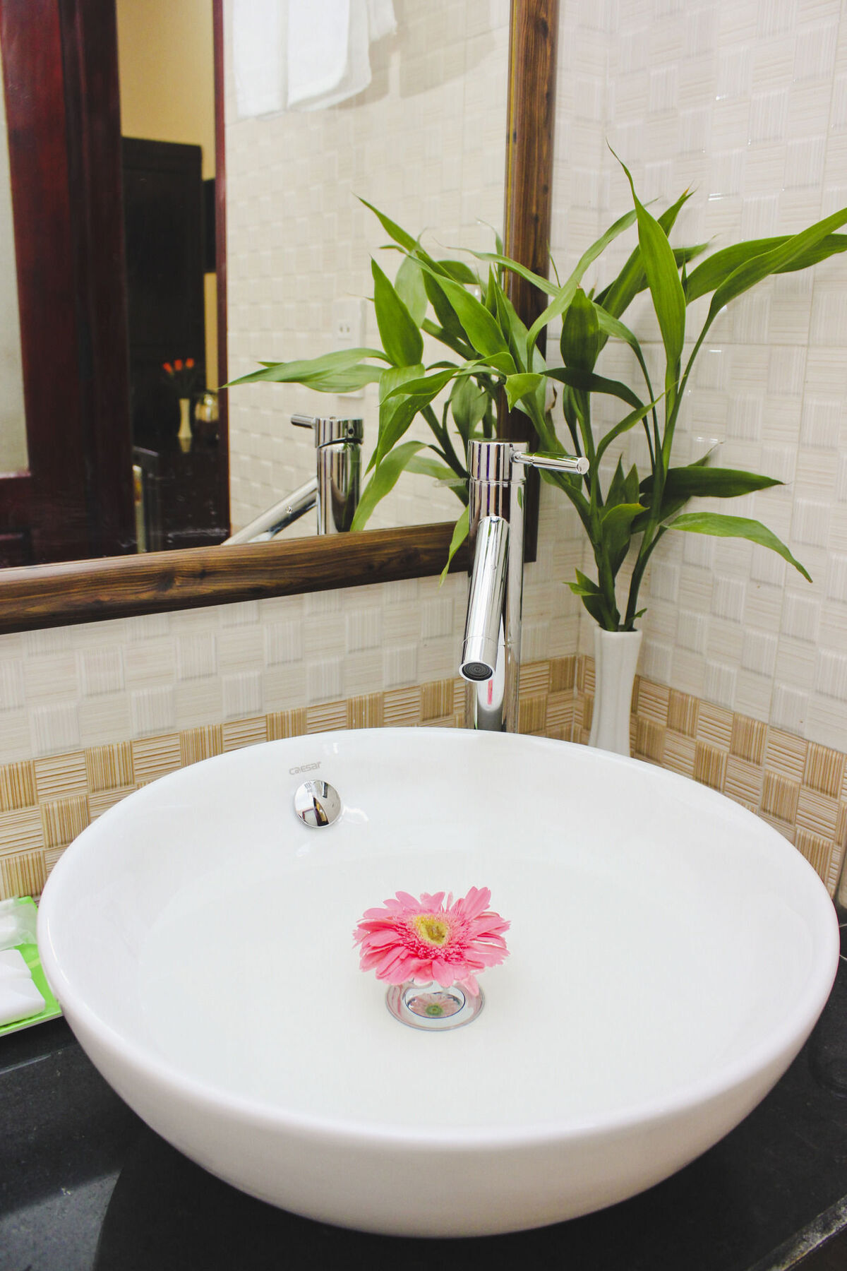 Phoenix Homestay Hoi An Eksteriør billede